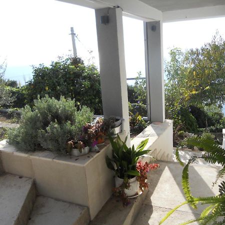 Blue Horizon Apartment Dobra Voda Exterior photo