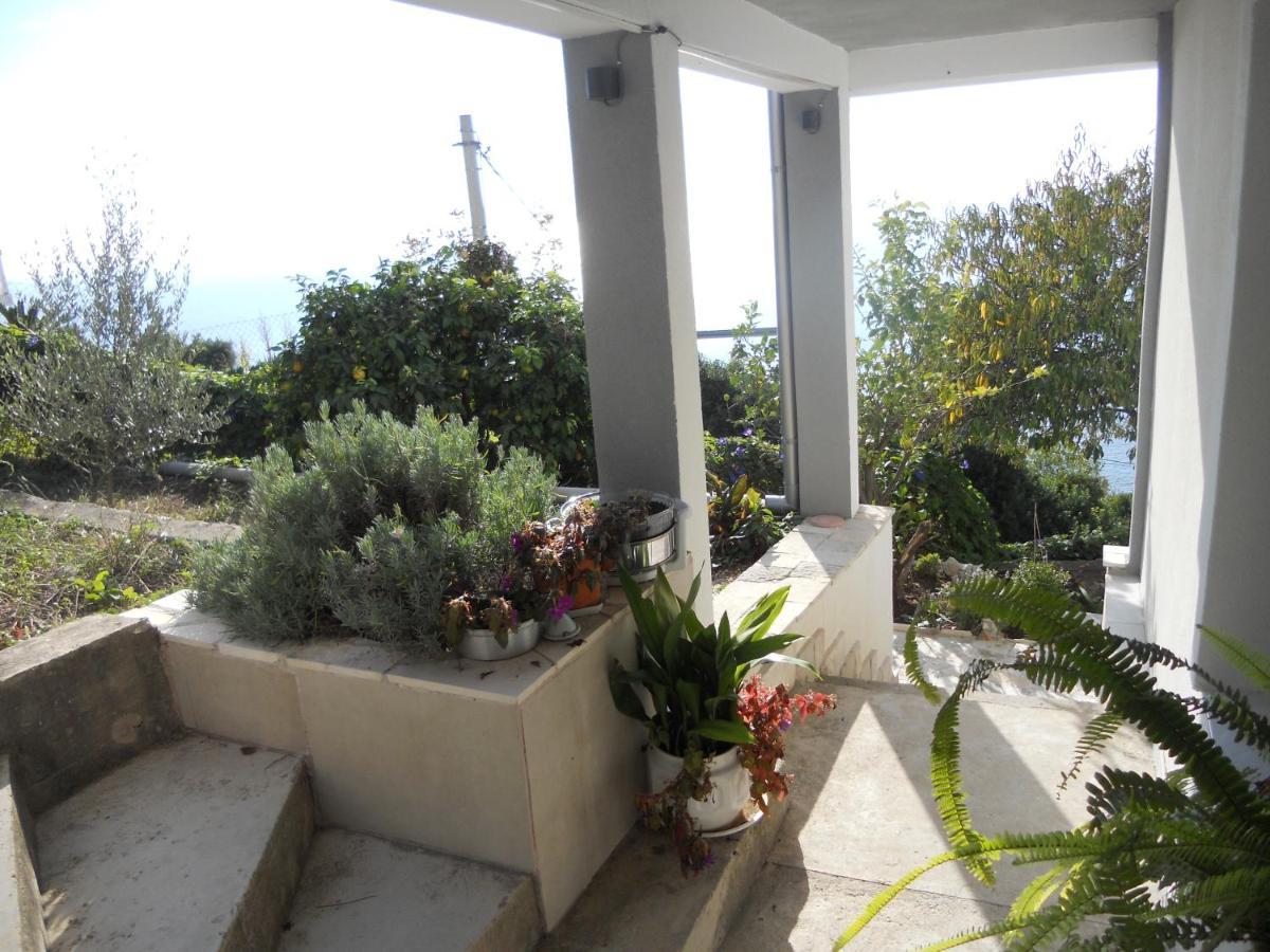 Blue Horizon Apartment Dobra Voda Exterior photo